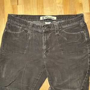 GAP brown/grey Corduroy Boot Cut Pants